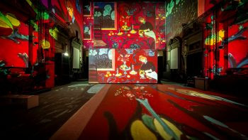 227290_350_FLO_Cattedrale dell’Immagine_Matisse_PS1_1671.jpg